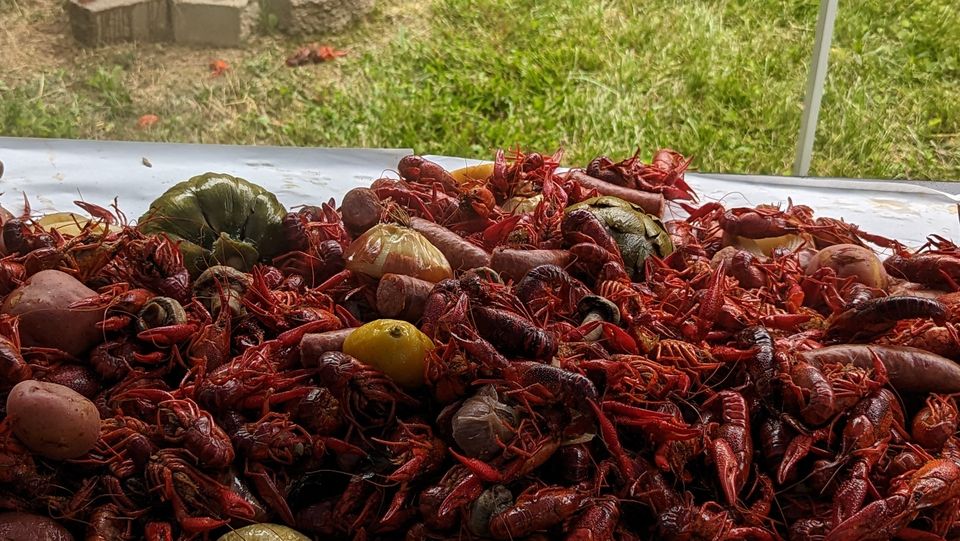 A table of fresh, boiled crawfish!